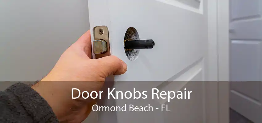 Door Knobs Repair Ormond Beach - FL