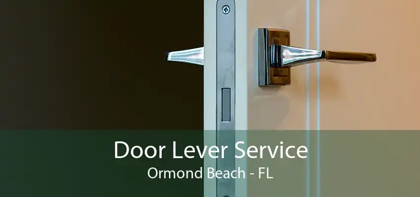 Door Lever Service Ormond Beach - FL